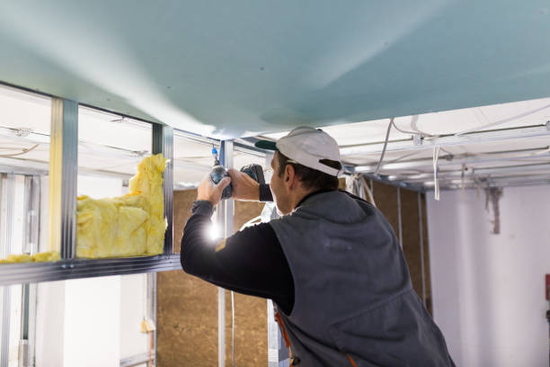 Best Spray Foam Insulation in Lake Ridge, VA