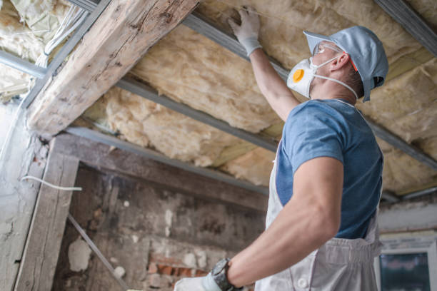 Best DIY Insulation Kits and Guidance in Lake Ridge, VA