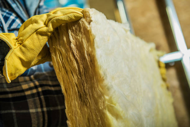 Types of Insulation We Offer in Lake Ridge, VA