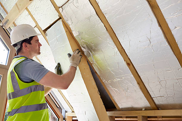 Best Commercial Insulation in Lake Ridge, VA